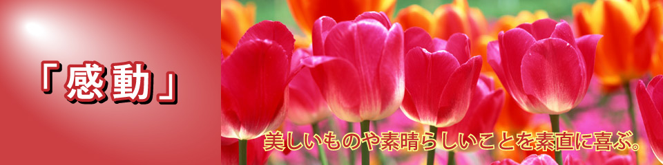 感動・美しいものや素晴らしいことを素直に喜ぶ。